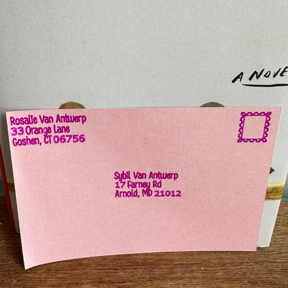 The Correspondent by Virginia Evans- Book Club Hosting Kit