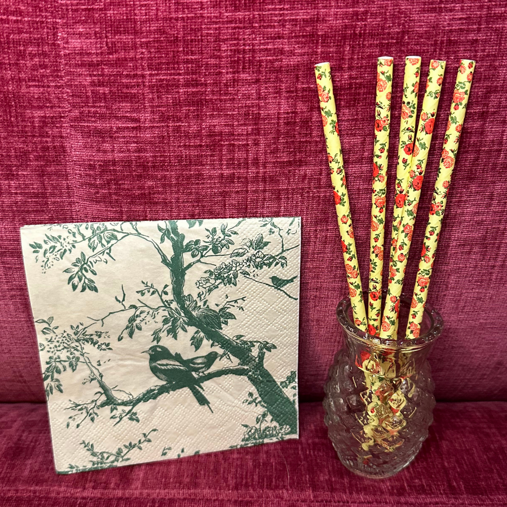 The Correspondent by Virginia Evans- Book Club Hosting Kit